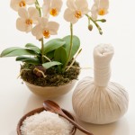 Thai Herbal Ball Treatment - Skincare by VenaSkincare by Vena